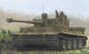 Tiger1.jpg (1501176 bytes)